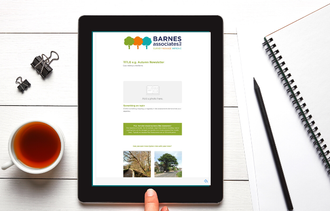 Template emails for Barnes Associates
