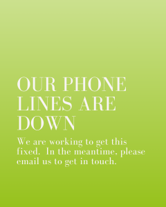 Example social media post for our phone lines are down